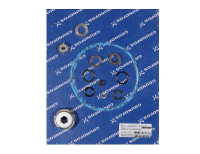 Комплект уплотнений, Gasket and seal kit CM10/15/25-AQQE/V